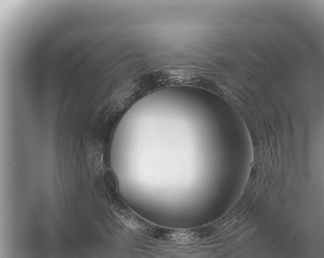 X0000057560615200509302047