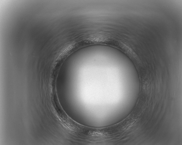 X0000057560635200509302046
