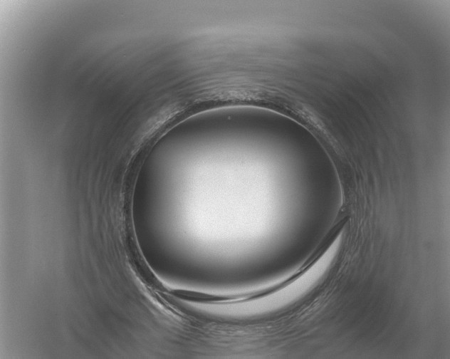 X0000057560677200509302045