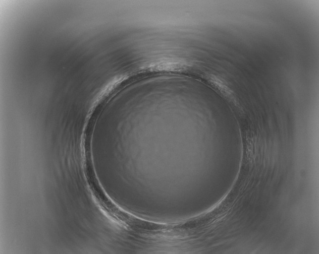 X0000057560678200509302045