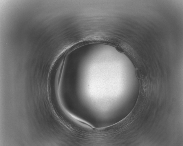 X0000057560680200509302045