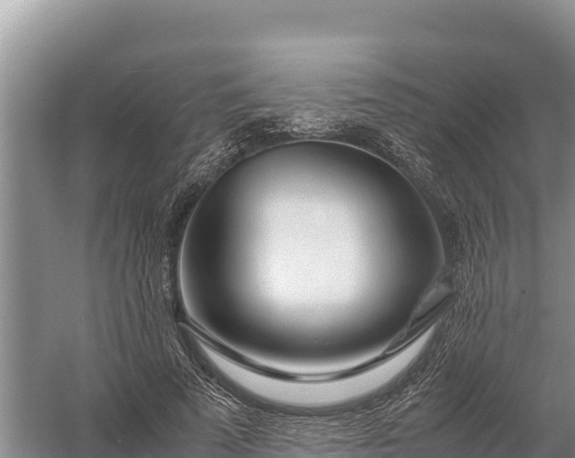 X0000057560689200509302045