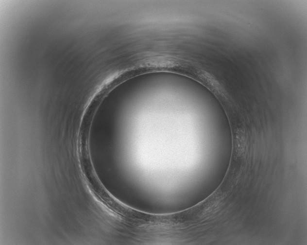 X0000057560726200509302044