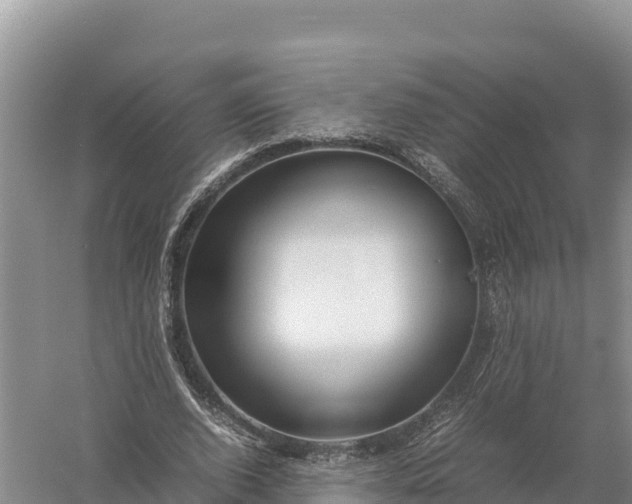 X0000057560728200509302044