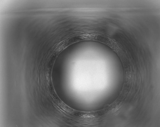 X0000057560749200509302044