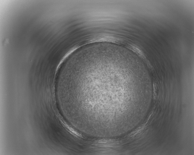 X0000057560780200509302044
