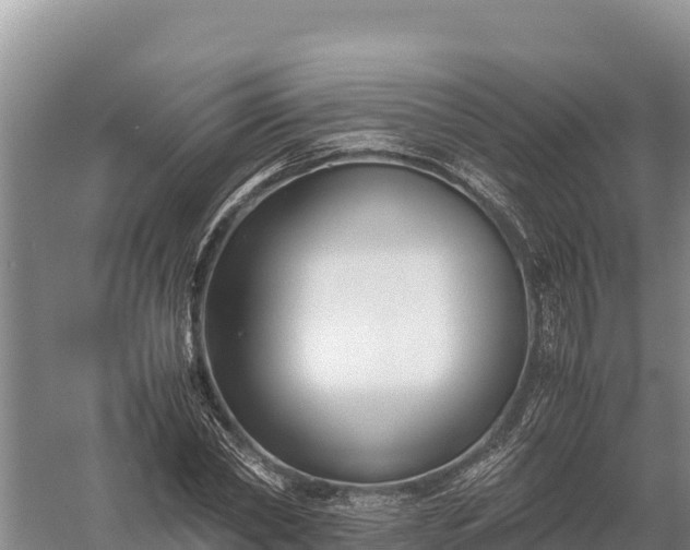 X0000057560782200509302044