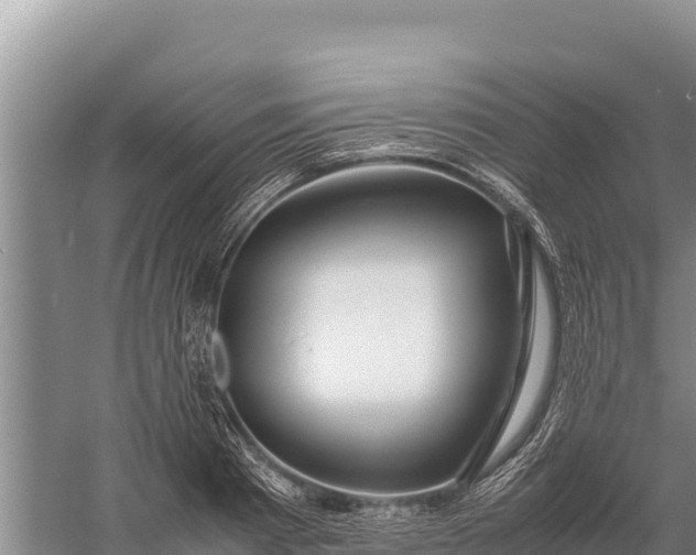 X0000057560793200509302044