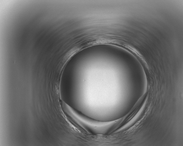 X0000057560809200509302043