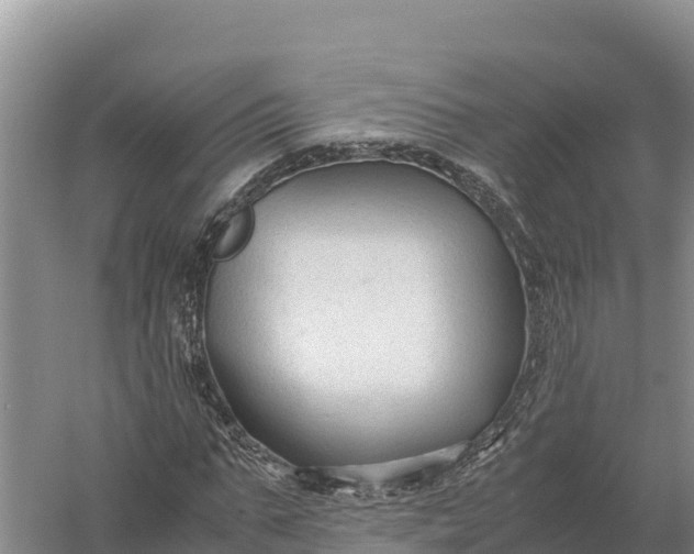 X0000057560871200509302042