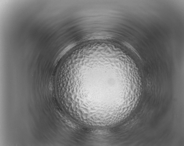 X0000057560874200509302042