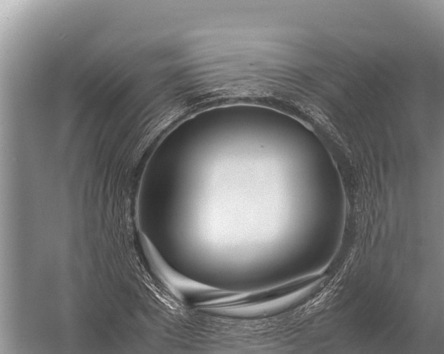X0000057560881200509302042