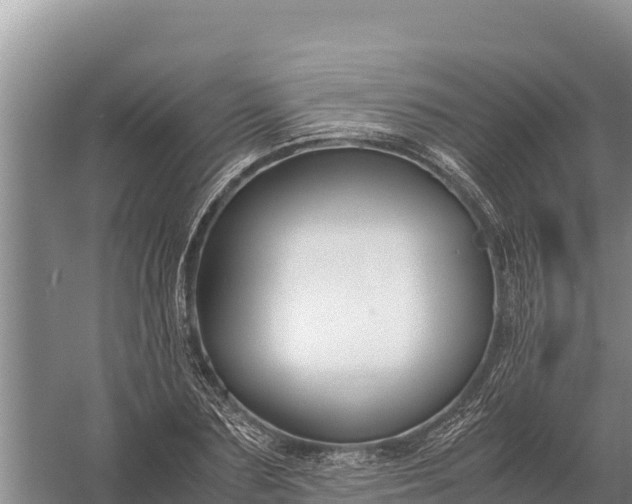 X0000057560883200509302042