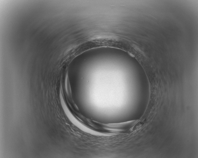 X0000057560965200509302041