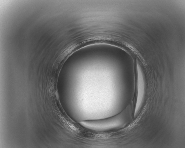 X0000057560977200509302040