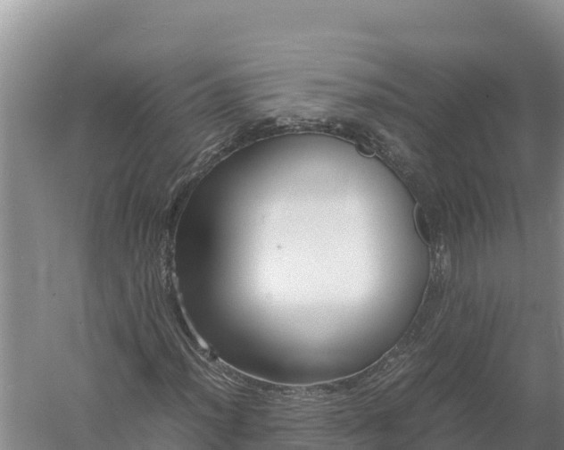 X0000057561012200509302039