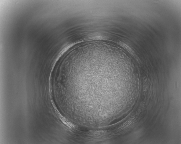 X0000057561031200509302039
