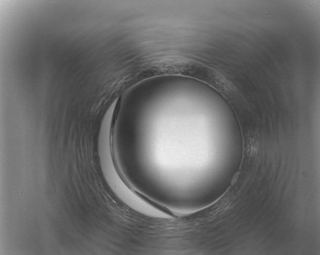 X0000057561108200509302037