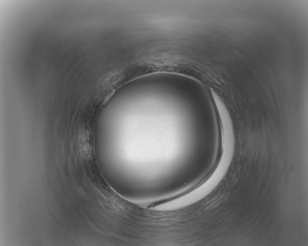 X0000057561156200509302037