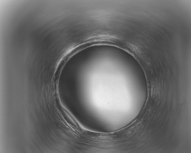 X0000057561164200509302037