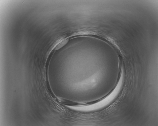 X0000057561173200509302037