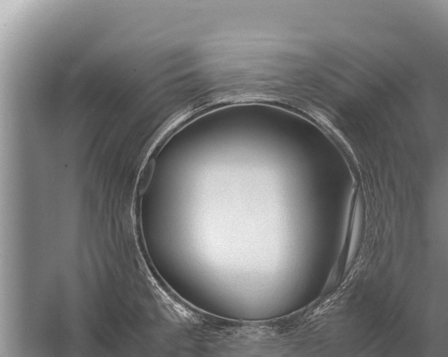 X0000057561189200509302037