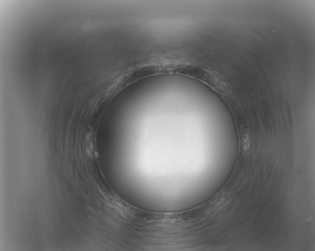 X0000057561204200509302036