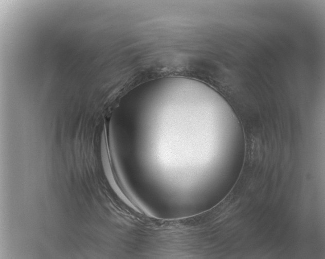 X0000057561250200509302036