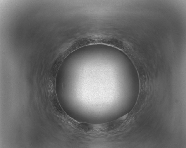 X0000057561253200509302036
