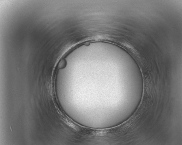 X0000057561278200509302035