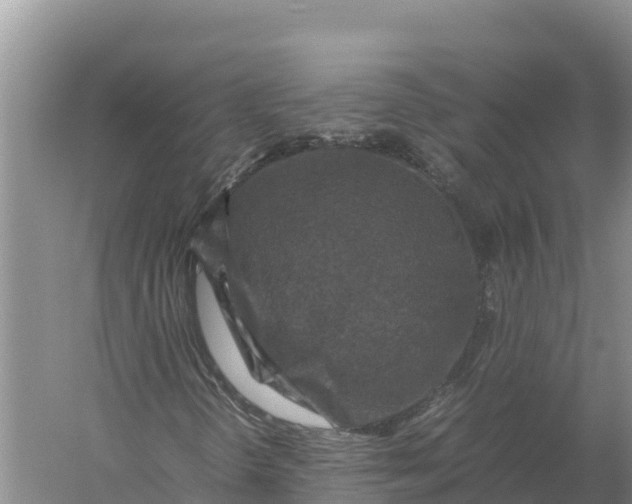 X0000057561298200509302034