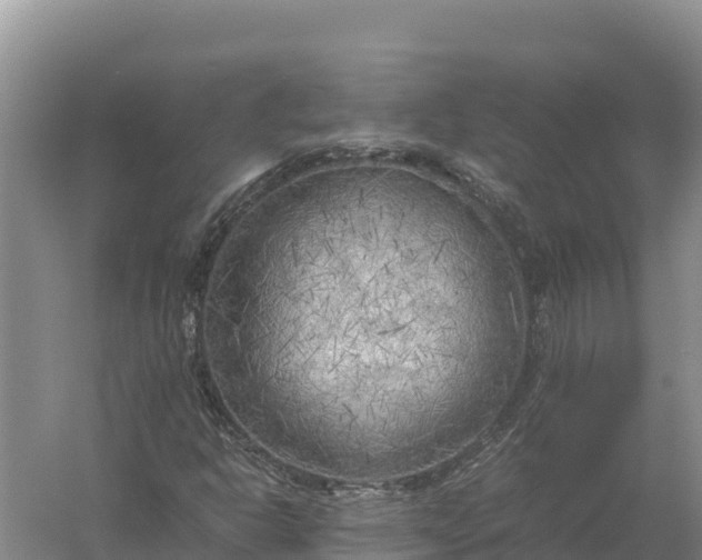 X0000057561302200509302034