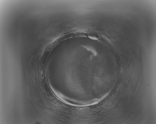 X0000057561303200509302034