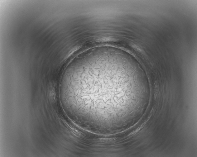 X0000057561305200509302034