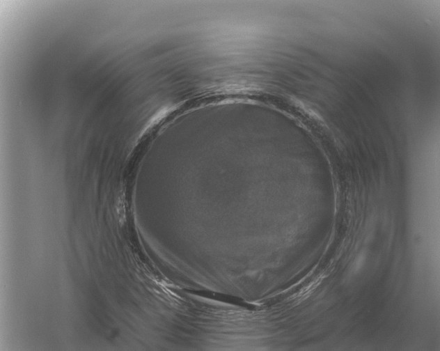 X0000057561306200509302034