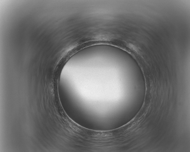 X0000057561307200509302034