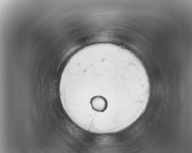 X0000057561314200509302034