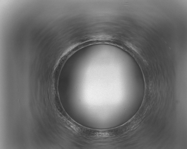 X0000057561315200509302034