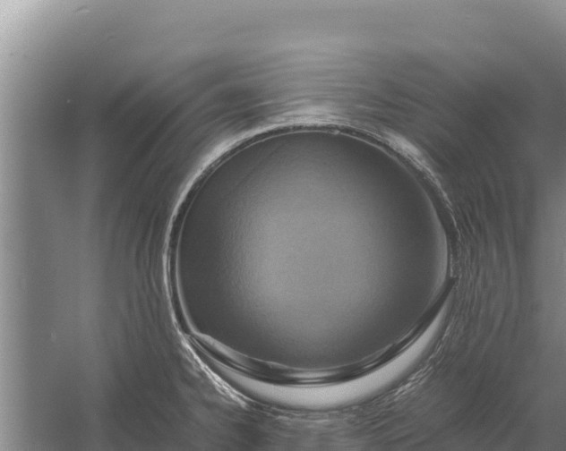 X0000057561334200509302035