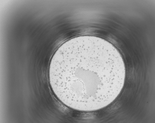 X0000057561338200509302035