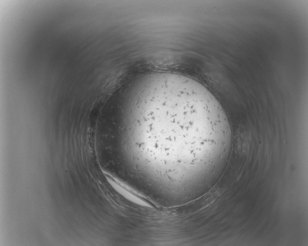 X0000057561346200509302034