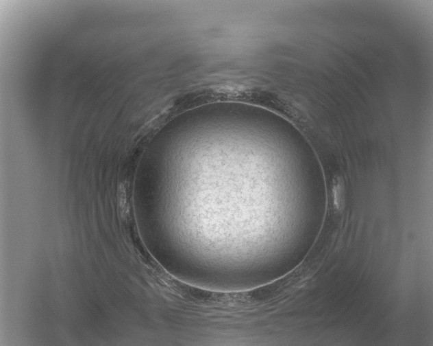 X0000057561347200509302034