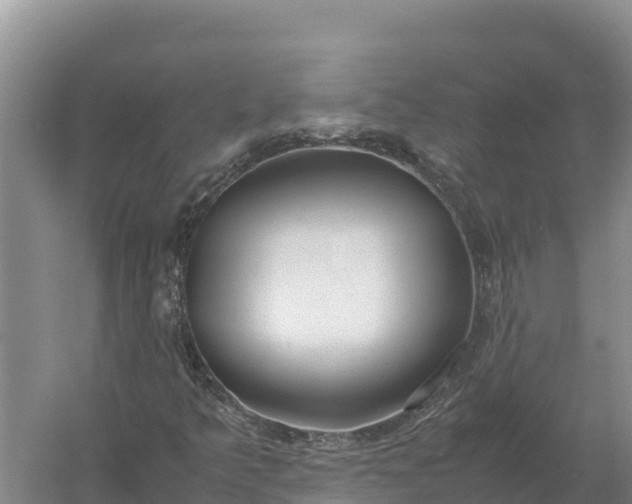 X0000057561349200509302034