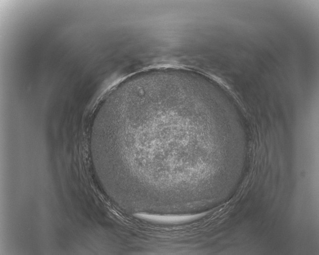 X0000057561359200509302034