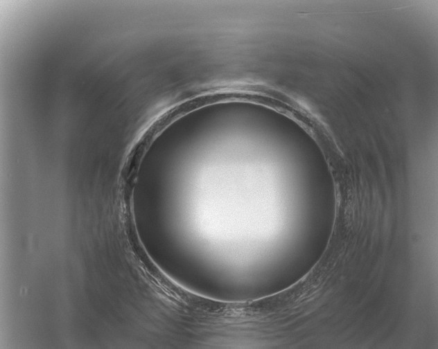 X0000057561360200509302034