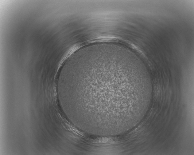 X0000057561362200509302034