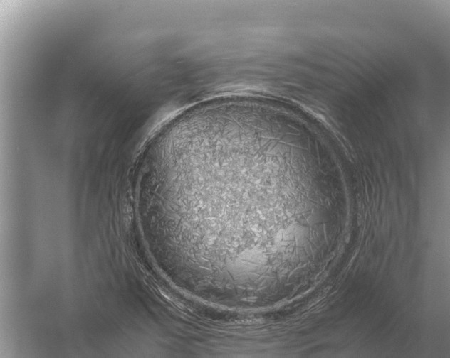 X0000057561363200509302034