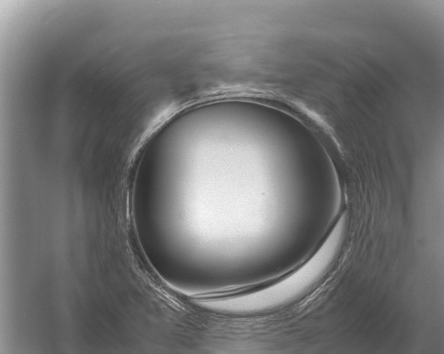 X0000057561365200509302034