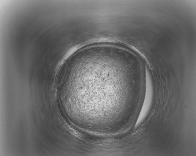 X0000057561367200509302034