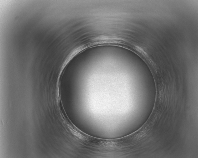 X0000057561370200509302034
